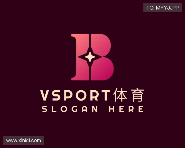 介绍vsport